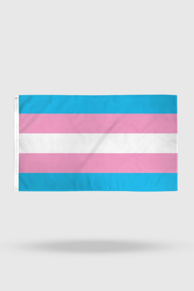 Bandeira Trans
